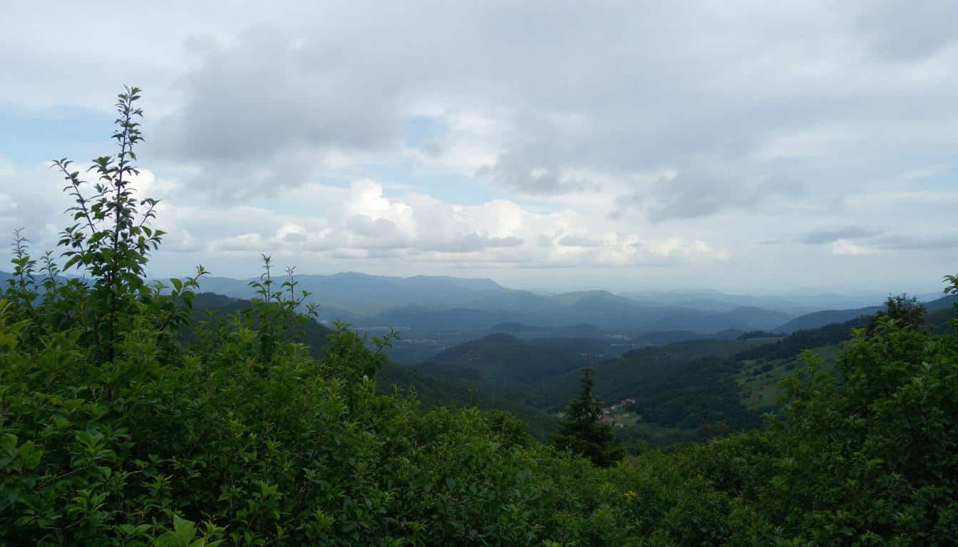 profitez des 24 heures de promotions exclusives chez tunisair avec jusqu'à 30 % de réduction sur vos billets d'avion. réservez vite et voyagez au meilleur prix !